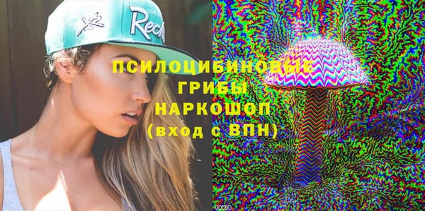 стаф Новозыбков