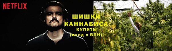 гидра Новокубанск