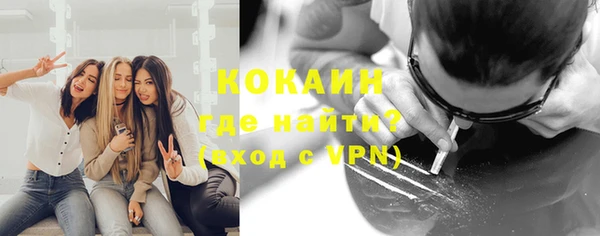 стаф Новозыбков
