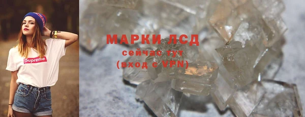 стаф Новозыбков