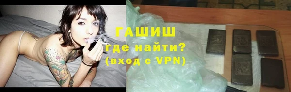 стаф Новозыбков