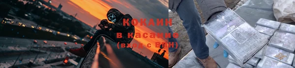 стаф Новозыбков