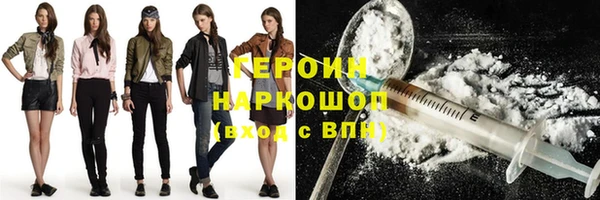 стаф Новозыбков