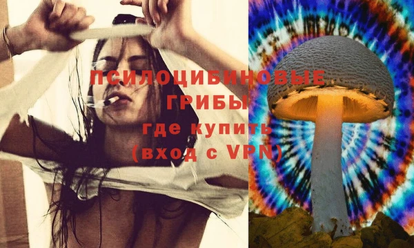 стаф Новозыбков